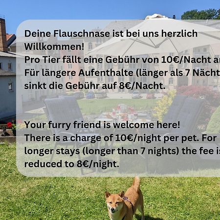F4 - Urlaubsmagie - Grosse Wohnung Fuer Bis Zu 10 Personen Sebnitz Eksteriør bilde
